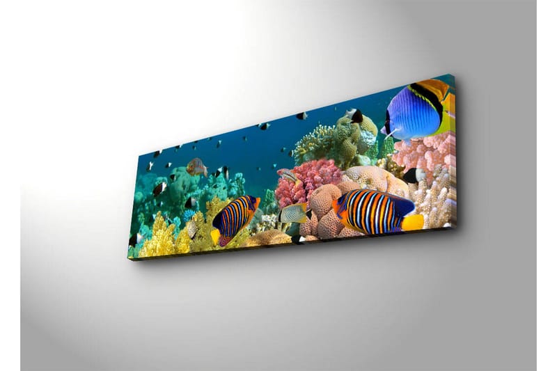 Canvastavla med LED-belysning 30x90 cm - Färgglad undervattensscen med tropiska fiskar och koraller - Blå / Gul / Rosa - Inredning & dekor - Tavlor & konst - Canvastavla