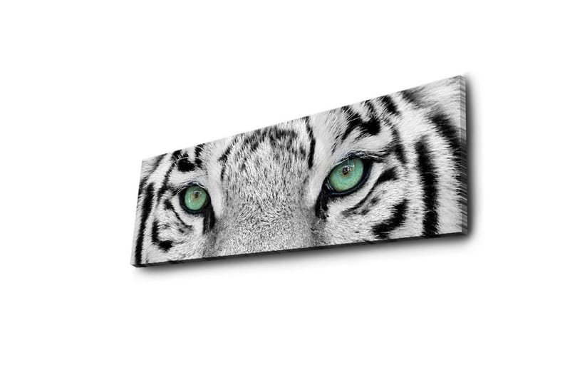Canvastavla med LED-belysning 30x90 cm - Närbild av en vit tigers ögon med intensiva detaljer - Vit / Svart / Grön - Inredning & dekor - Tavlor & konst - Canvastavla