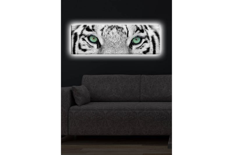 Canvastavla med LED-belysning 30x90 cm - Närbild av en vit tigers ögon med intensiva detaljer - Vit / Svart / Grön - Inredning & dekor - Tavlor & konst - Canvastavla