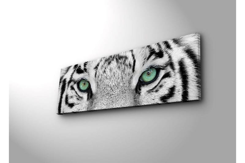 Canvastavla med LED-belysning 30x90 cm - Närbild av en vit tigers ögon med intensiva detaljer - Vit / Svart / Grön - Inredning & dekor - Tavlor & konst - Canvastavla