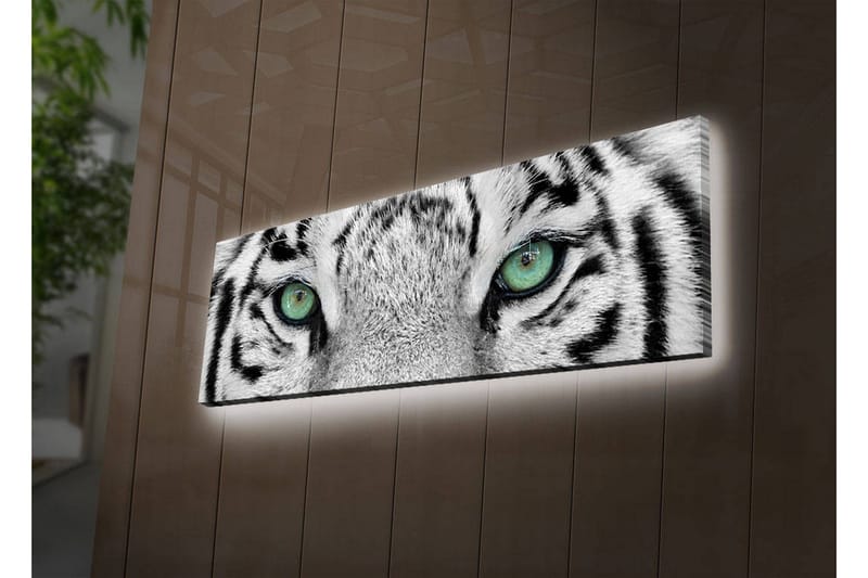 Canvastavla med LED-belysning 30x90 cm - Närbild av en vit tigers ögon med intensiva detaljer, Vit / Svart / Grön