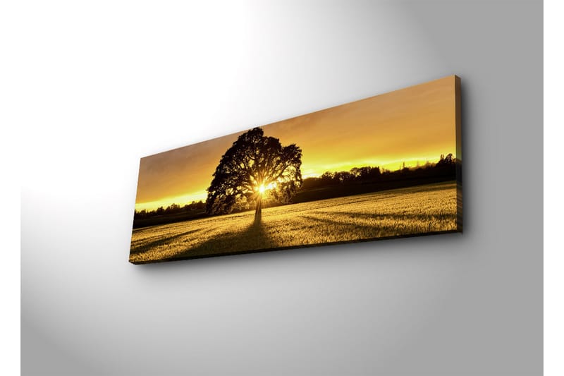 Canvastavla med LED-belysning 30x90 cm - Silhuett av ett träd mot en gyllene solnedgång - Guld / Svart / Grön - Inredning & dekor - Tavlor & konst - Canvastavla