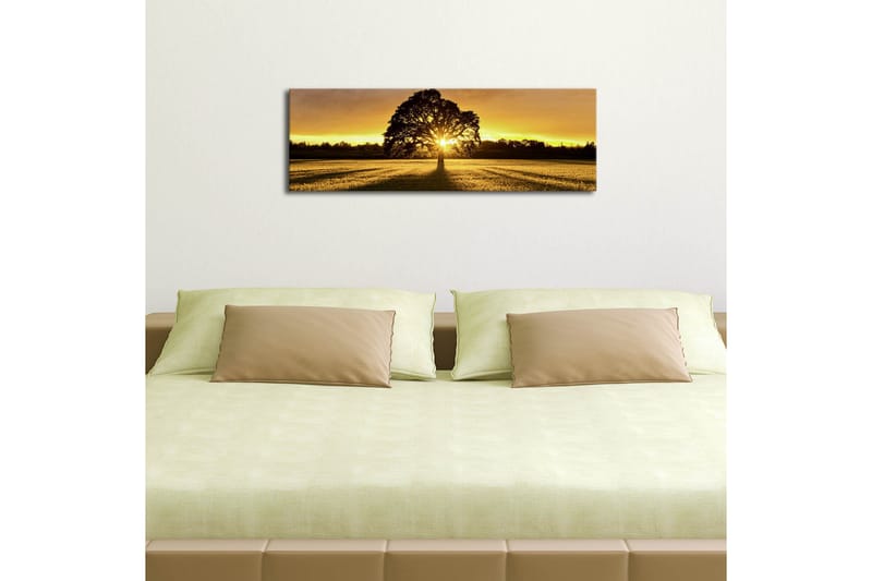 Canvastavla med LED-belysning 30x90 cm - Silhuett av ett träd mot en gyllene solnedgång - Guld / Svart / Grön - Inredning & dekor - Tavlor & konst - Canvastavla