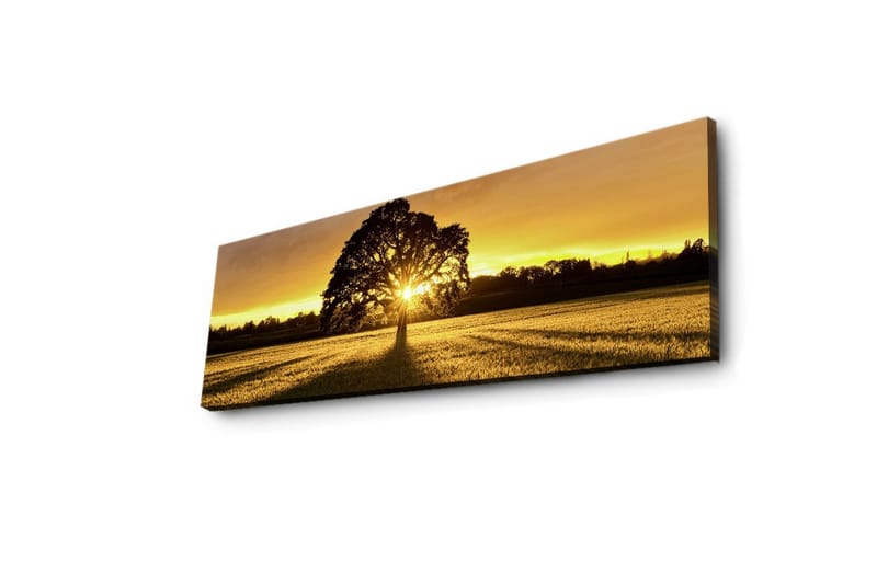 Canvastavla med LED-belysning 30x90 cm - Silhuett av ett träd mot en gyllene solnedgång - Guld / Svart / Grön - Inredning & dekor - Tavlor & konst - Canvastavla