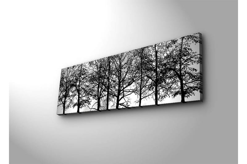 Canvastavla med LED-belysning 30x90 cm - Silhuett av träd i svartvitt - Svart / Vitt - Inredning & dekor - Tavlor & konst - Canvastavla