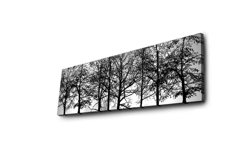Canvastavla med LED-belysning 30x90 cm - Silhuett av träd i svartvitt - Svart / Vitt - Inredning & dekor - Tavlor & konst - Canvastavla
