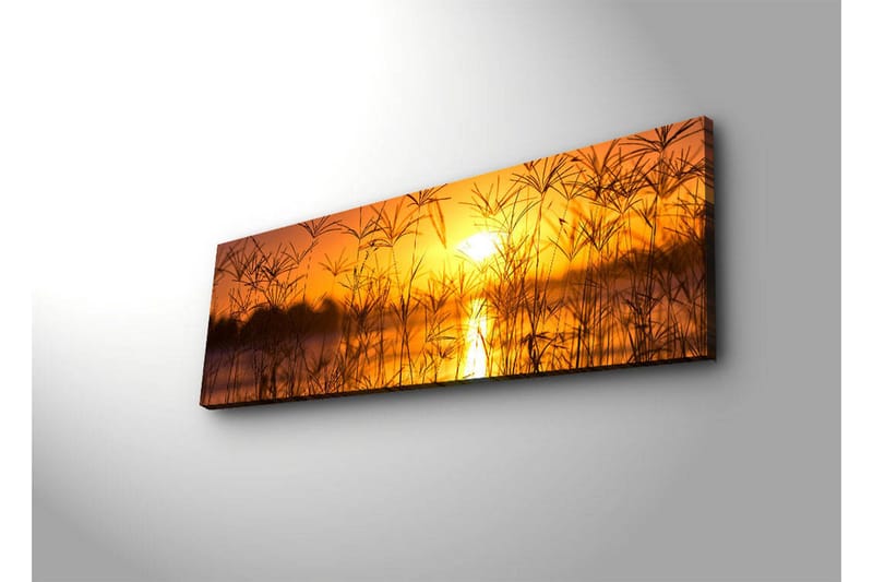 Canvastavla med LED-belysning 30x90 cm - Solnedgång över en spegelblanka sjö med gräs i förgrunden - Orange / Guld / Svart - Inredning & dekor - Tavlor & konst - Canvastavla