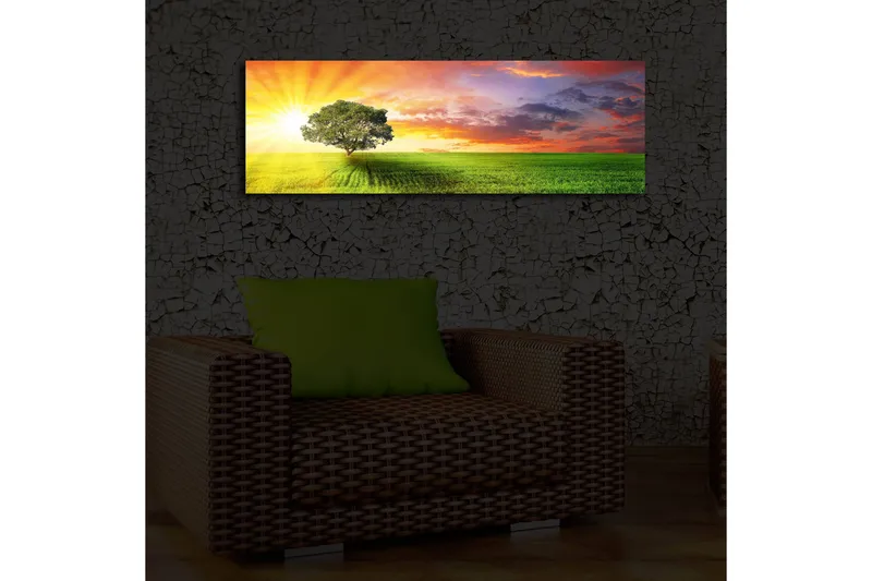 Canvastavla med LED-belysning 30x90 cm - Soluppgång över en grön äng med ett ensamt träd - Grön / Orange / Blå - Inredning & dekor - Tavlor & konst - Canvastavla
