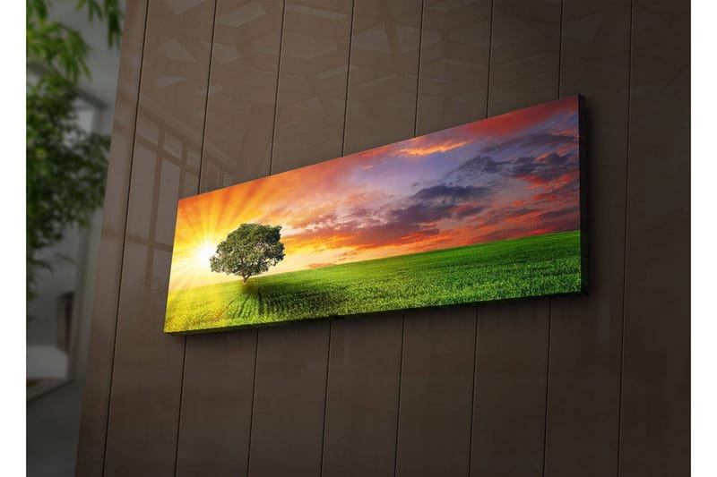 Canvastavla med LED-belysning 30x90 cm - Soluppgång över en grön äng med ett ensamt träd - Grön / Orange / Blå - Inredning & dekor - Tavlor & konst - Canvastavla