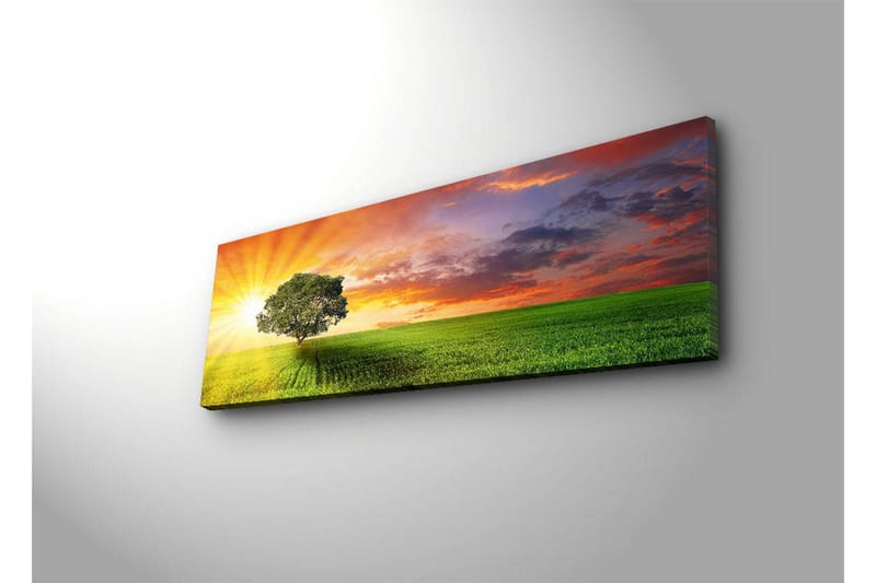 Canvastavla med LED-belysning 30x90 cm - Soluppgång över en grön äng med ett ensamt träd - Grön / Orange / Blå - Inredning & dekor - Tavlor & konst - Canvastavla