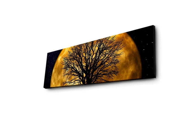 Canvastavla med LED-belysning 30x90 cm - Stämningsfullt motiv av en måne bakom ett silhuett av ett träd - Guld / Svart - Inredning & dekor - Tavlor & konst - Canvastavla