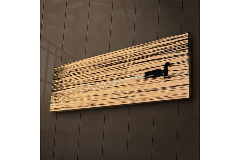 Canvastavla med LED-belysning 30x90 cm - Svart and simmande på spegelblanka, gyllene vattenytor - Guld / Svart - Inredning & dekor - Tavlor & konst - Canvastavla