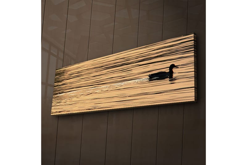 Canvastavla med LED-belysning 30x90 cm - Svart and simmande på spegelblanka, gyllene vattenytor - Guld / Svart - Inredning & dekor - Tavlor & konst - Canvastavla