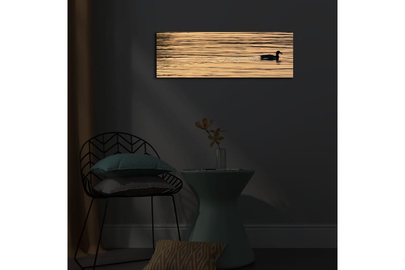 Canvastavla med LED-belysning 30x90 cm - Svart and simmande på spegelblanka, gyllene vattenytor - Guld / Svart - Inredning & dekor - Tavlor & konst - Canvastavla