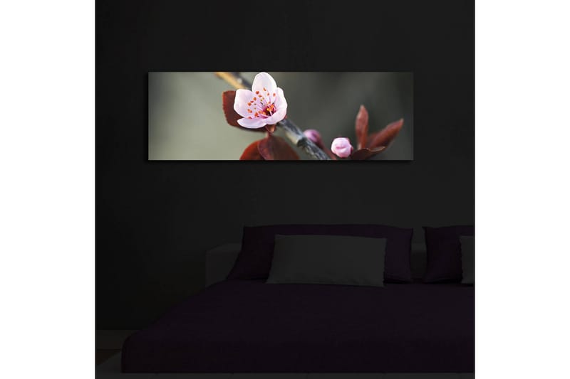 Canvastavla med LED-belysning 30x90 cm - Vacker blomma med rosa kronblad och mörkgröna blad - Rosa / Mörkgrön - Inredning & dekor - Tavlor & konst - Canvastavla