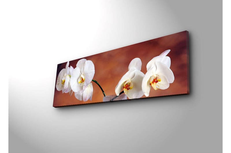 Canvastavla med LED-belysning 30x90 cm - Vackra vita orkidéer i en harmonisk komposition - Vit / Beige / Gul - Inredning & dekor - Tavlor & konst - Canvastavla