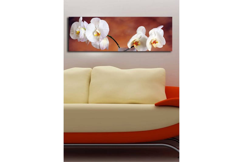 Canvastavla med LED-belysning 30x90 cm - Vackra vita orkidéer i en harmonisk komposition - Vit / Beige / Gul - Inredning & dekor - Tavlor & konst - Canvastavla