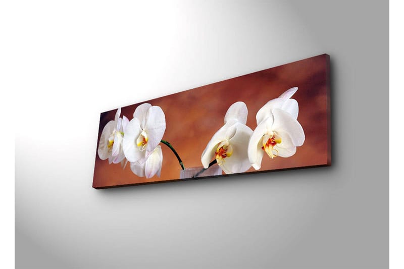 Canvastavla med LED-belysning 30x90 cm - Vackra vita orkidéer i en harmonisk komposition - Vit / Beige / Gul - Inredning & dekor - Tavlor & konst - Canvastavla