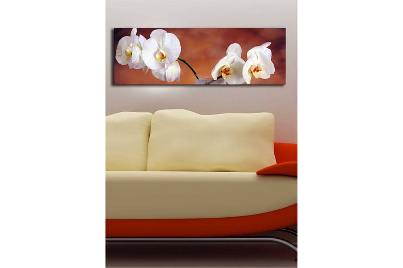 Canvastavla med LED-belysning 30x90 cm - Vackra vita orkidéer i en harmonisk komposition - Vit / Beige / Gul - Inredning & dekor - Tavlor & konst - Canvastavla