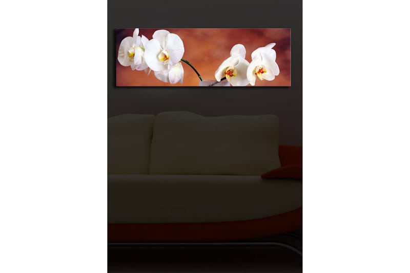 Canvastavla med LED-belysning 30x90 cm - Vackra vita orkidéer i en harmonisk komposition - Vit / Beige / Gul - Inredning & dekor - Tavlor & konst - Canvastavla
