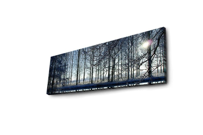 Canvastavla med LED-belysning 30x90 cm - Vinterlandskap med snöklädda träd och en svag solstråle - Blå / Vit / Grå - Inredning & dekor - Tavlor & konst - Canvastavla