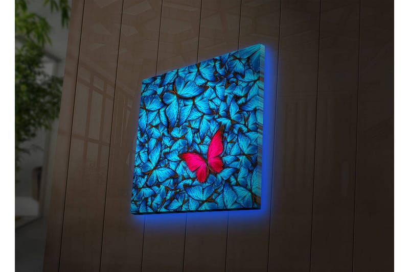 Canvastavla med LED-belysning 40x40 cm - Blåa upplysta fjärliar i bakgrunden med en rosa fjäril, Blå / Rosa / Svart
