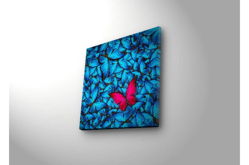 Canvastavla med LED-belysning 40x40 cm - Blåa upplysta fjärliar i bakgrunden med en rosa fjäril - Blå / Rosa / Svart - Inredning & dekor - Tavlor & konst - Canvastavla