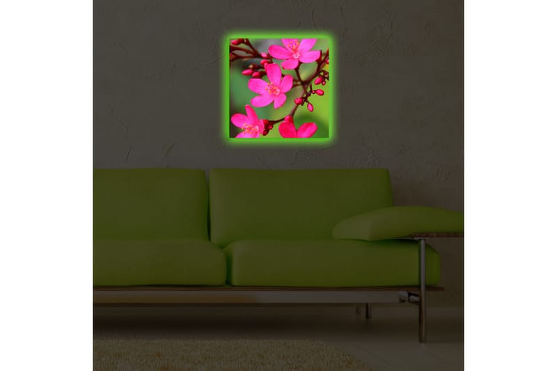 Canvastavla med LED-belysning 40x40 cm - Färgglad bukett av blommor - Rosa / Grön / Ljusgrön - Inredning & dekor - Tavlor & konst - Canvastavla