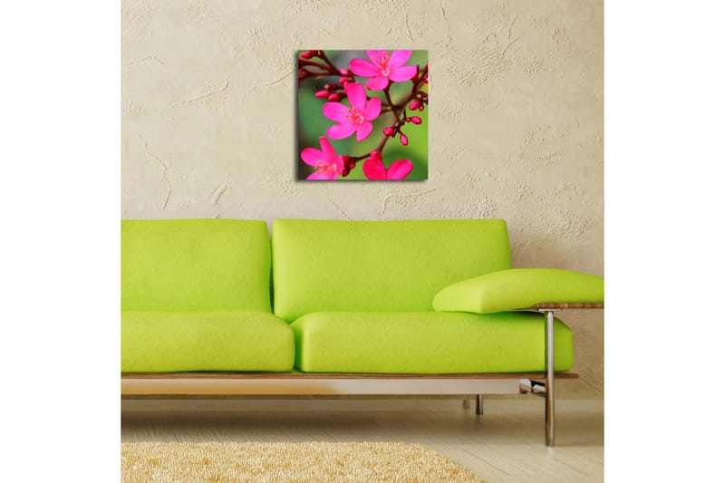 Canvastavla med LED-belysning 40x40 cm - Färgglad bukett av blommor - Rosa / Grön / Ljusgrön - Inredning & dekor - Tavlor & konst - Canvastavla