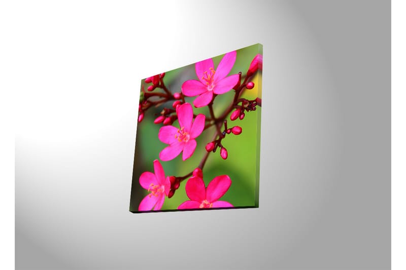 Canvastavla med LED-belysning 40x40 cm - Färgglad bukett av blommor - Rosa / Grön / Ljusgrön - Inredning & dekor - Tavlor & konst - Canvastavla