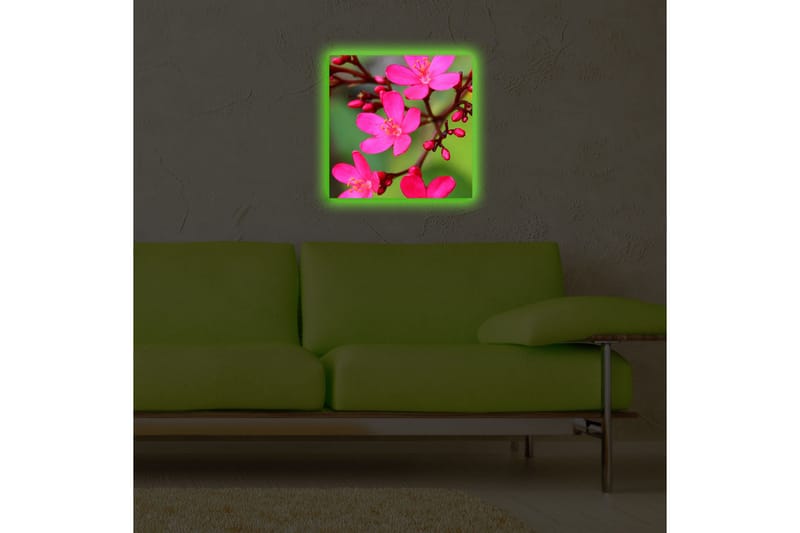 Canvastavla med LED-belysning 40x40 cm - Färgglad bukett av blommor - Rosa / Grön / Ljusgrön - Inredning & dekor - Tavlor & konst - Canvastavla