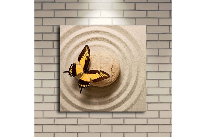 Canvastavla med LED-belysning 40x40 cm - Färgglad fjäril på en sandig yta med cirkulära mönster - Gult / Brunt / Beige - Inredning & dekor - Tavlor & konst - Canvastavla