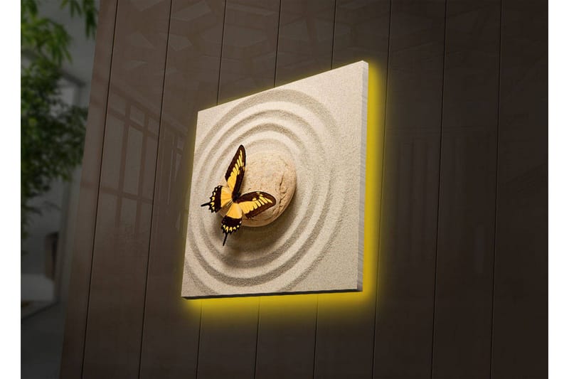 Canvastavla med LED-belysning 40x40 cm - Färgglad fjäril på en sandig yta med cirkulära mönster - Gult / Brunt / Beige - Inredning & dekor - Tavlor & konst - Canvastavla