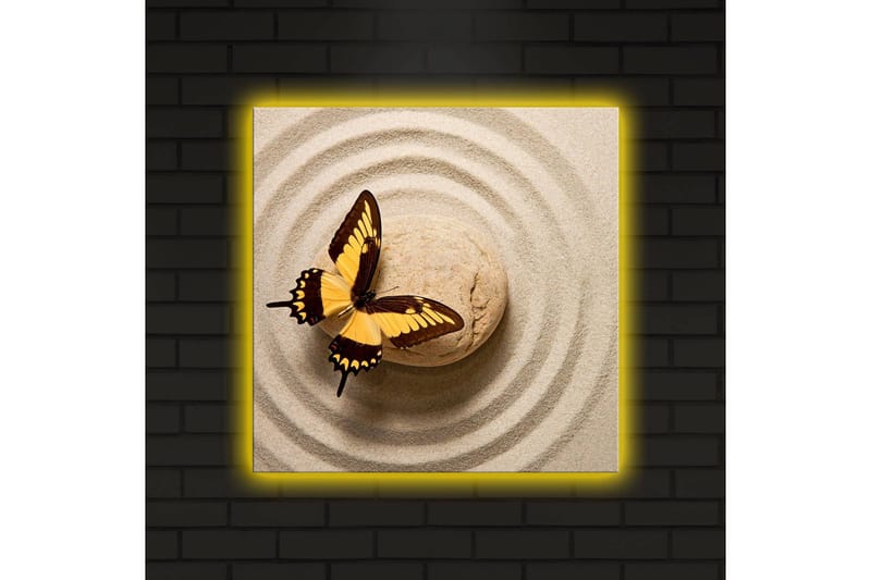 Canvastavla med LED-belysning 40x40 cm - Färgglad fjäril på en sandig yta med cirkulära mönster - Gult / Brunt / Beige - Inredning & dekor - Tavlor & konst - Canvastavla