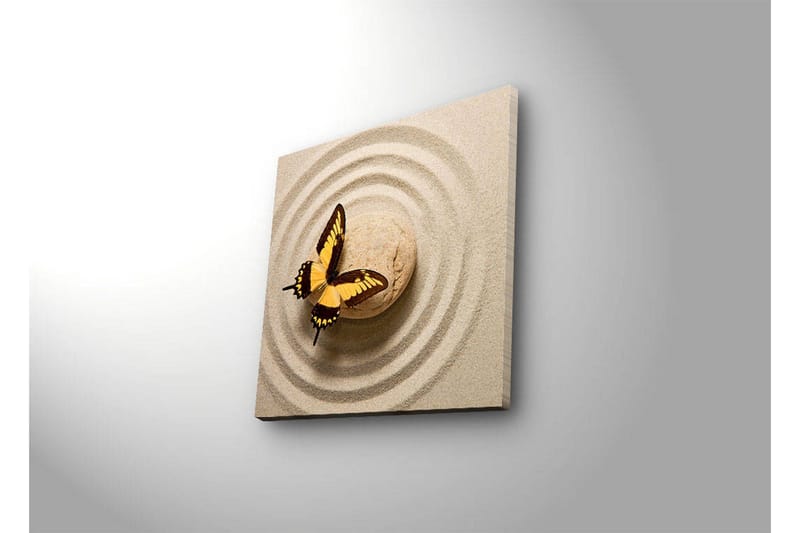 Canvastavla med LED-belysning 40x40 cm - Färgglad fjäril på en sandig yta med cirkulära mönster - Gult / Brunt / Beige - Inredning & dekor - Tavlor & konst - Canvastavla