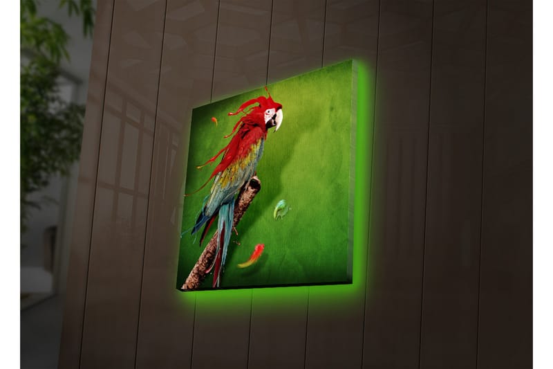 Canvastavla med LED-belysning 40x40 cm - Färgglad papegoja på en grön bakgrund - Grön / Röd / Blå - Inredning & dekor - Tavlor & konst - Canvastavla