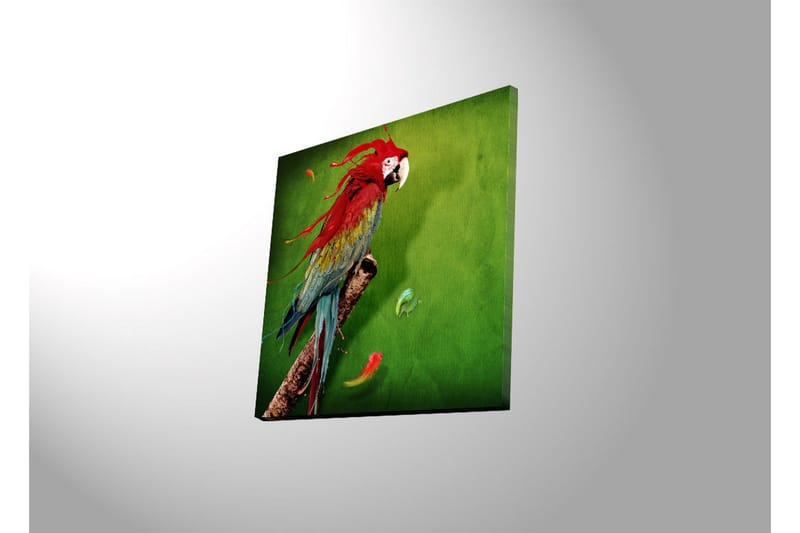 Canvastavla med LED-belysning 40x40 cm - Färgglad papegoja på en grön bakgrund - Grön / Röd / Blå - Inredning & dekor - Tavlor & konst - Canvastavla
