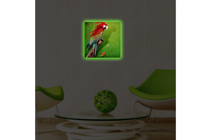 Canvastavla med LED-belysning 40x40 cm - Färgglad papegoja på en grön bakgrund - Grön / Röd / Blå - Inredning & dekor - Tavlor & konst - Canvastavla