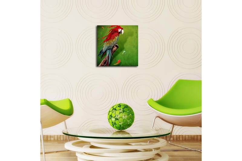 Canvastavla med LED-belysning 40x40 cm - Färgglad papegoja på en grön bakgrund - Grön / Röd / Blå - Inredning & dekor - Tavlor & konst - Canvastavla