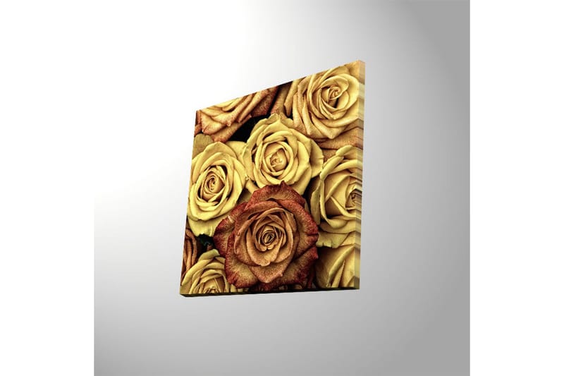 Canvastavla med LED-belysning 40x40 cm - Färgrik samling av rosor i olika nyanser - Guld / Brun / Röd - Inredning & dekor - Tavlor & konst - Canvastavla