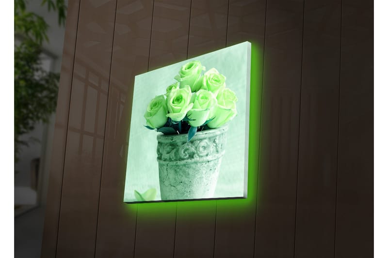 Canvastavla med LED-belysning 40x40 cm - Grönskande rosor i en kruka - Ljusgrön / Grå / Svart - Inredning & dekor - Tavlor & konst - Canvastavla