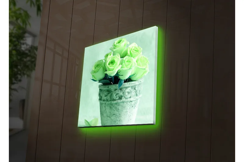 Canvastavla med LED-belysning 40x40 cm - Grönskande rosor i en kruka - Ljusgrön / Grå / Svart - Inredning & dekor - Tavlor & konst - Canvastavla