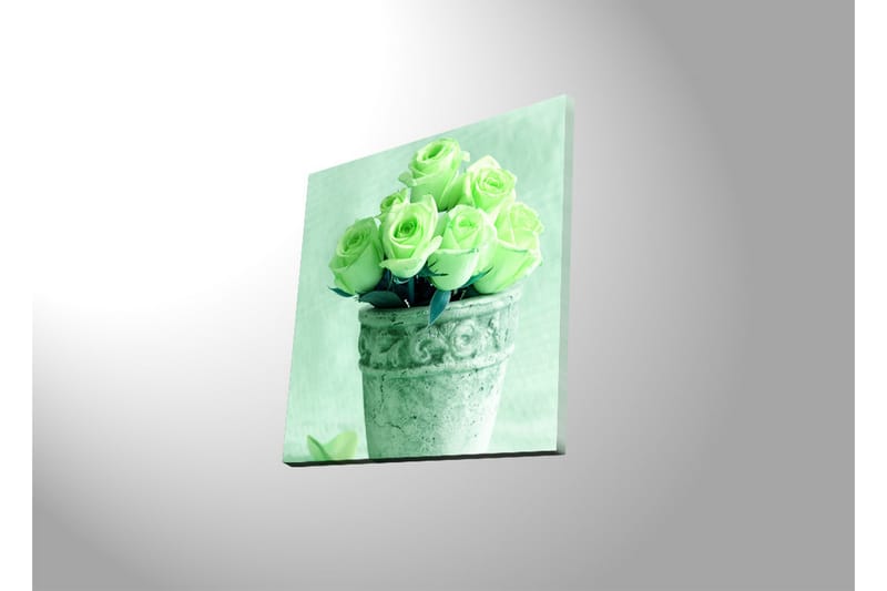 Canvastavla med LED-belysning 40x40 cm - Grönskande rosor i en kruka - Ljusgrön / Grå / Svart - Inredning & dekor - Tavlor & konst - Canvastavla
