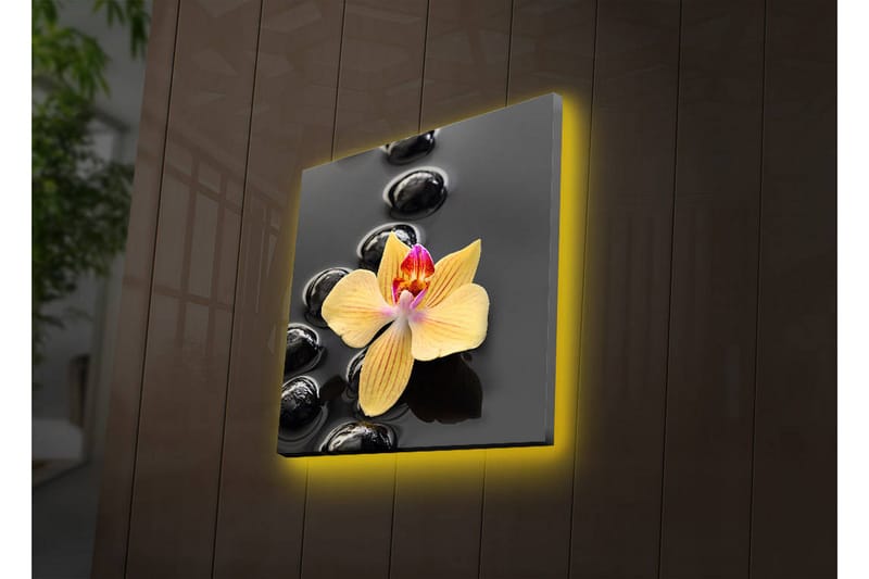 Canvastavla med LED-belysning 40x40 cm - Gul orkidé på svarta stenar - Gul / Svart - Inredning & dekor - Tavlor & konst - Canvastavla
