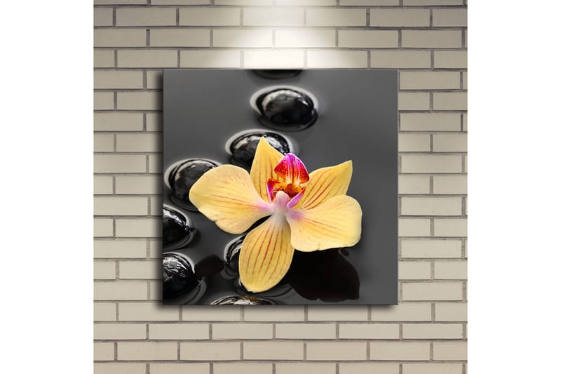 Canvastavla med LED-belysning 40x40 cm - Gul orkidé på svarta stenar - Gul / Svart - Inredning & dekor - Tavlor & konst - Canvastavla