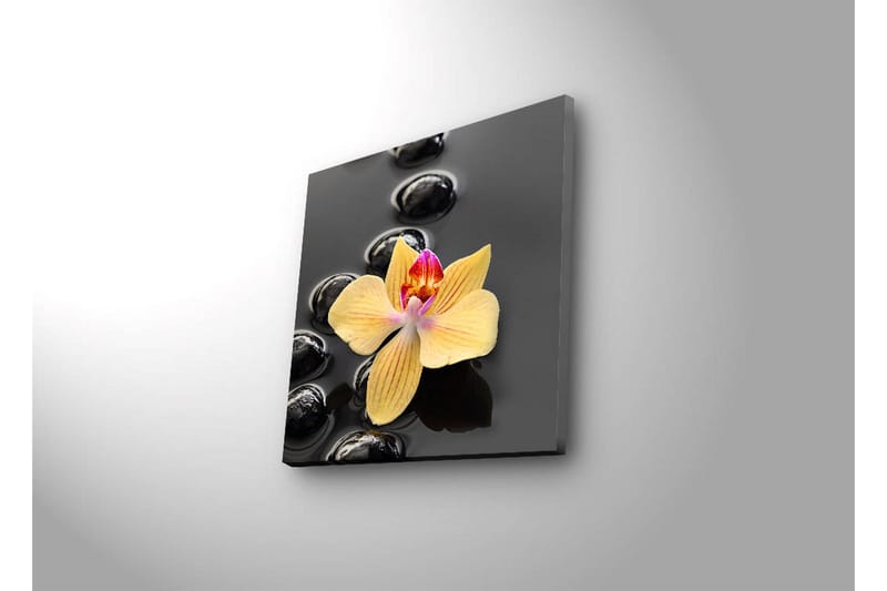 Canvastavla med LED-belysning 40x40 cm - Gul orkidé på svarta stenar - Gul / Svart - Inredning & dekor - Tavlor & konst - Canvastavla