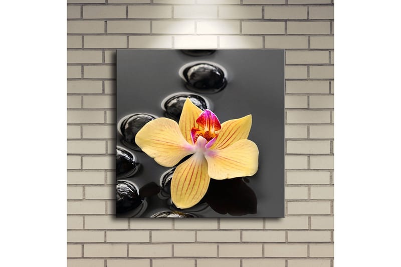 Canvastavla med LED-belysning 40x40 cm - Gul orkidé på svarta stenar - Gul / Svart - Inredning & dekor - Tavlor & konst - Canvastavla