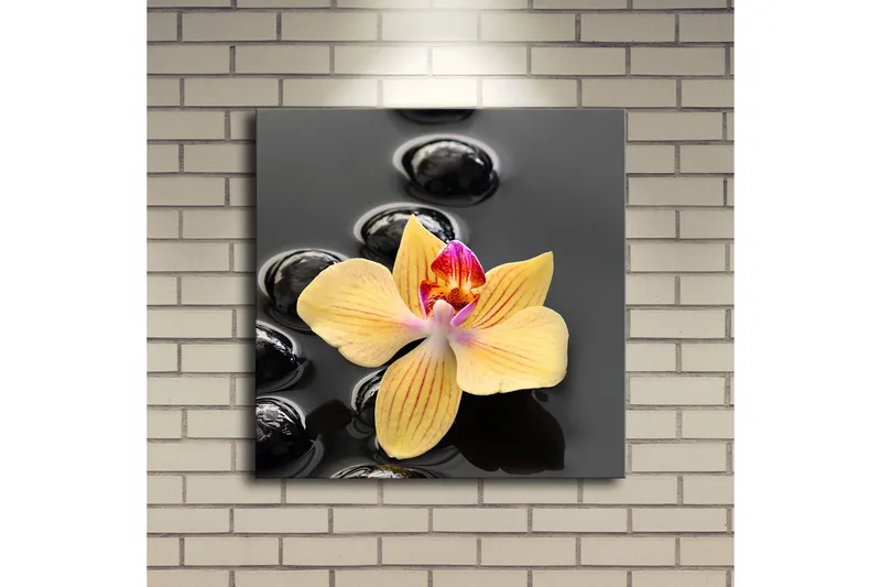 Canvastavla med LED-belysning 40x40 cm - Gul orkidé på svarta stenar - Gul / Svart - Inredning & dekor - Tavlor & konst - Canvastavla
