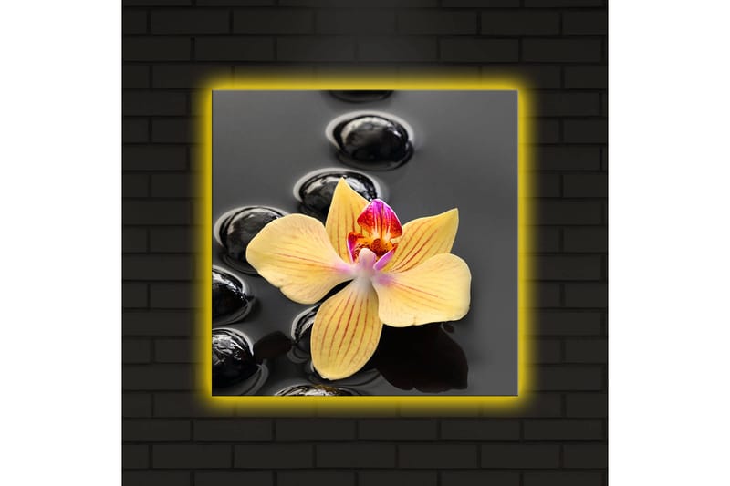 Canvastavla med LED-belysning 40x40 cm - Gul orkidé på svarta stenar - Gul / Svart - Inredning & dekor - Tavlor & konst - Canvastavla