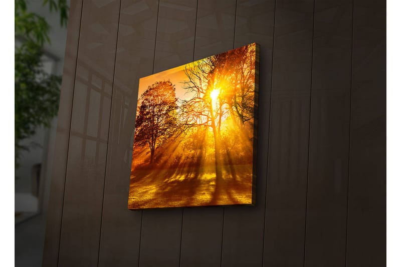 Canvastavla med LED-belysning 40x40 cm - Gyllene höstlandskap med solstrålar som strålar genom träden - Guld / Orange / Brun - Inredning & dekor - Tavlor & konst - Canvastavla